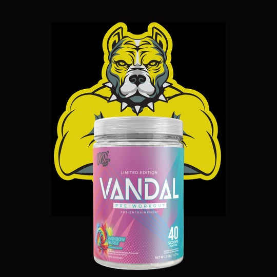 VNDL Project Vandal Pre Workout 40 Servings - Rainbow Burst -