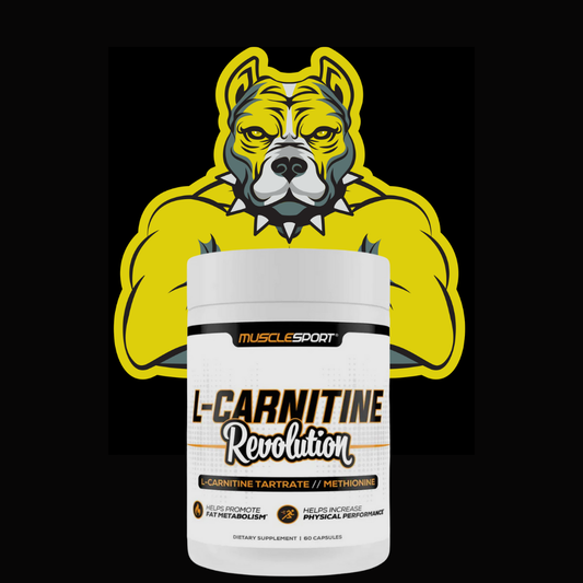 MuscleSport L-Carnitine -  Fat Metabolism -