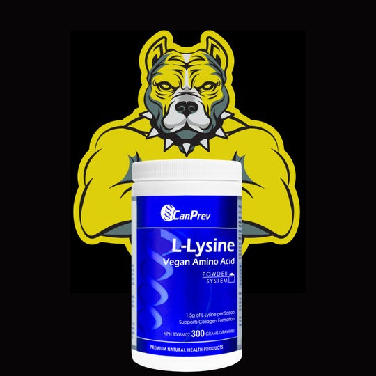 L-Lysine 300g