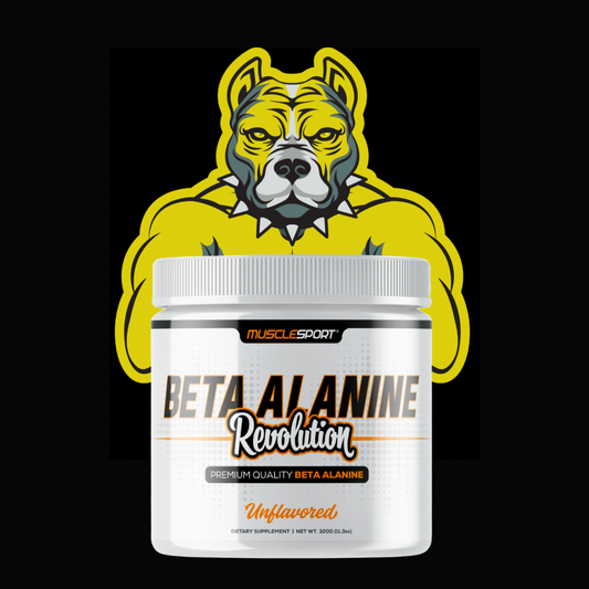 Musclesport-Premium Quality Beta Alanine Oral Supplement