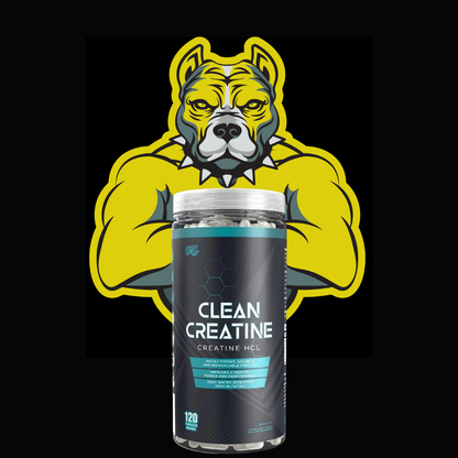 VNDL Project Vandal Clean Creatine HCL