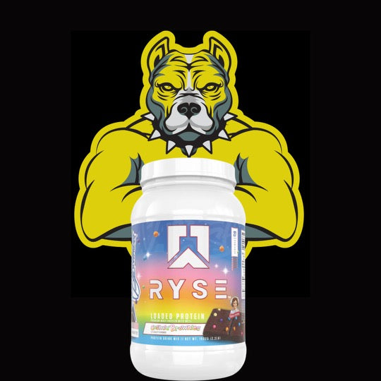 RYSE Loaded Protein Cosmic Brownie with logo