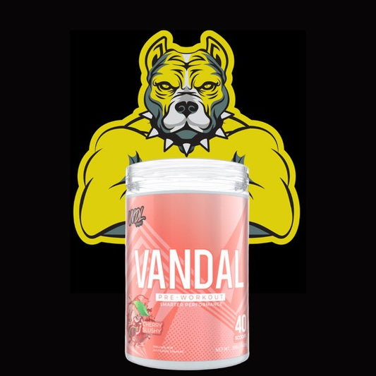 VNDL Project Vandal Pre Workout 40 Servings - Cherry Slushy -